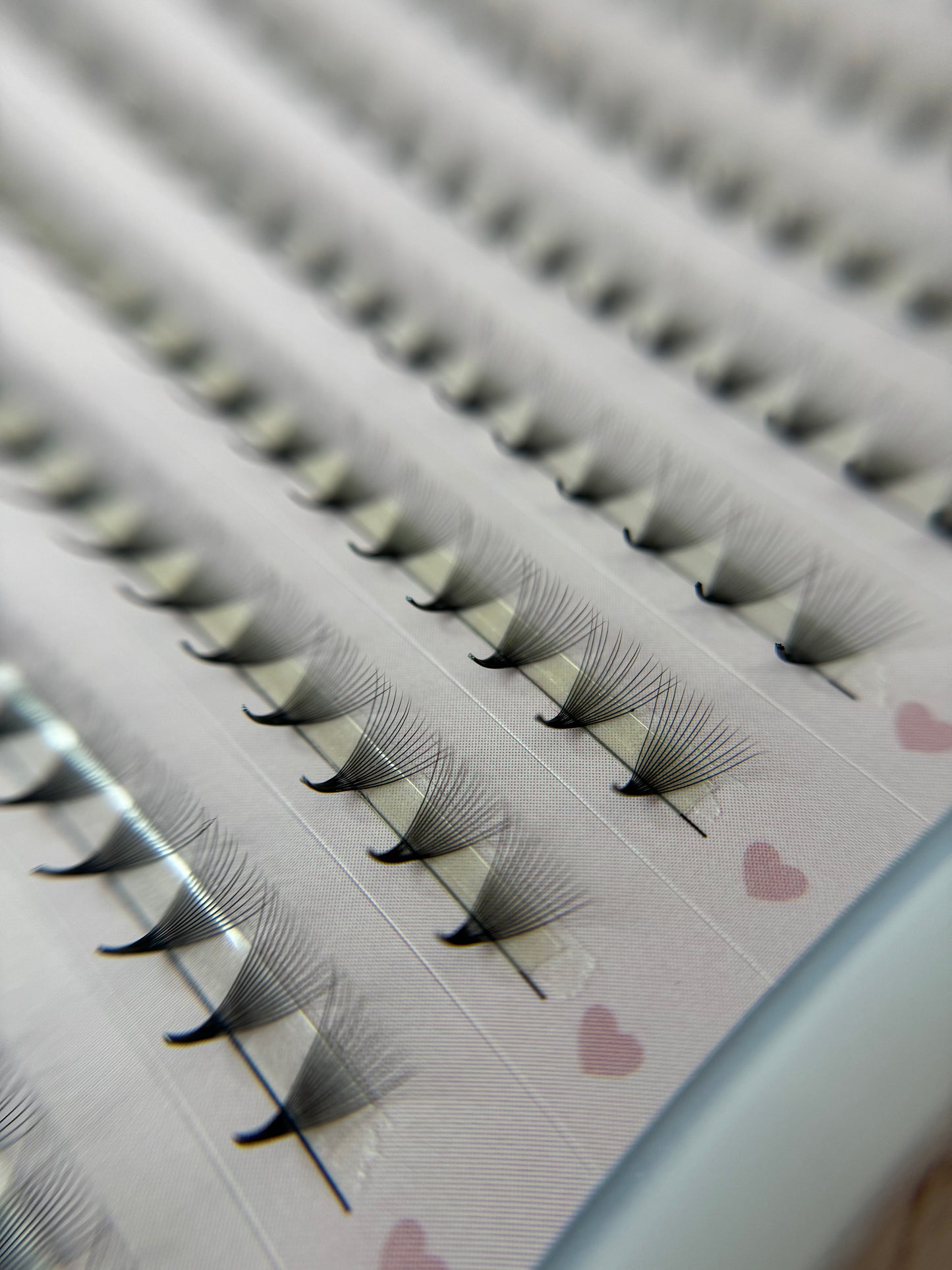 Extensiones de pestañas 14D 8mm
